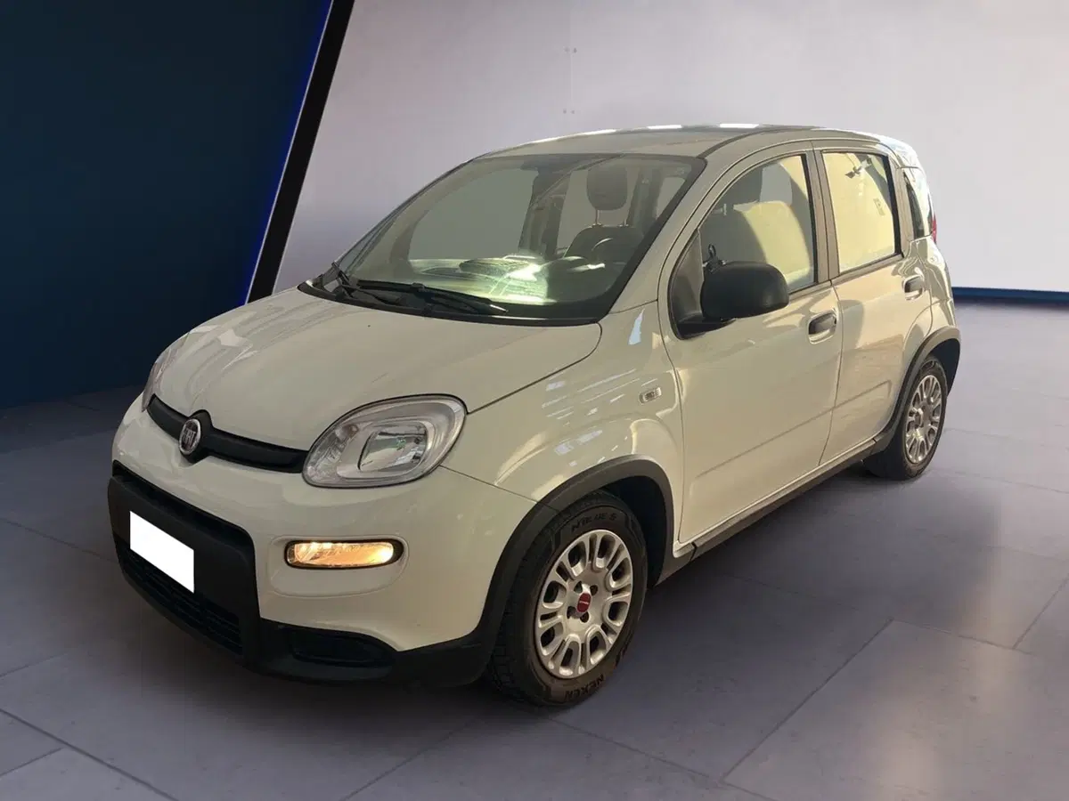 Fiat Panda Cross usata a Torino (3)