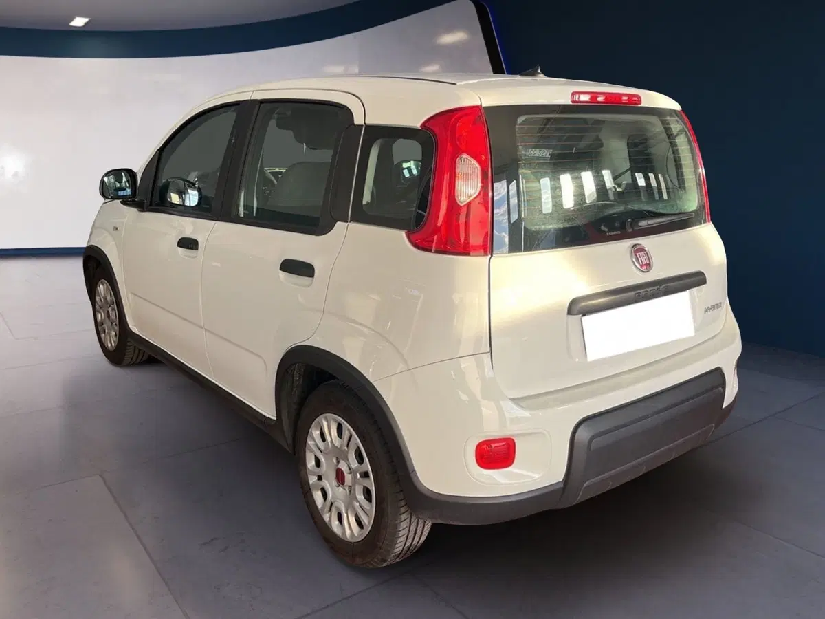 Fiat Panda Cross usata a Torino (4)