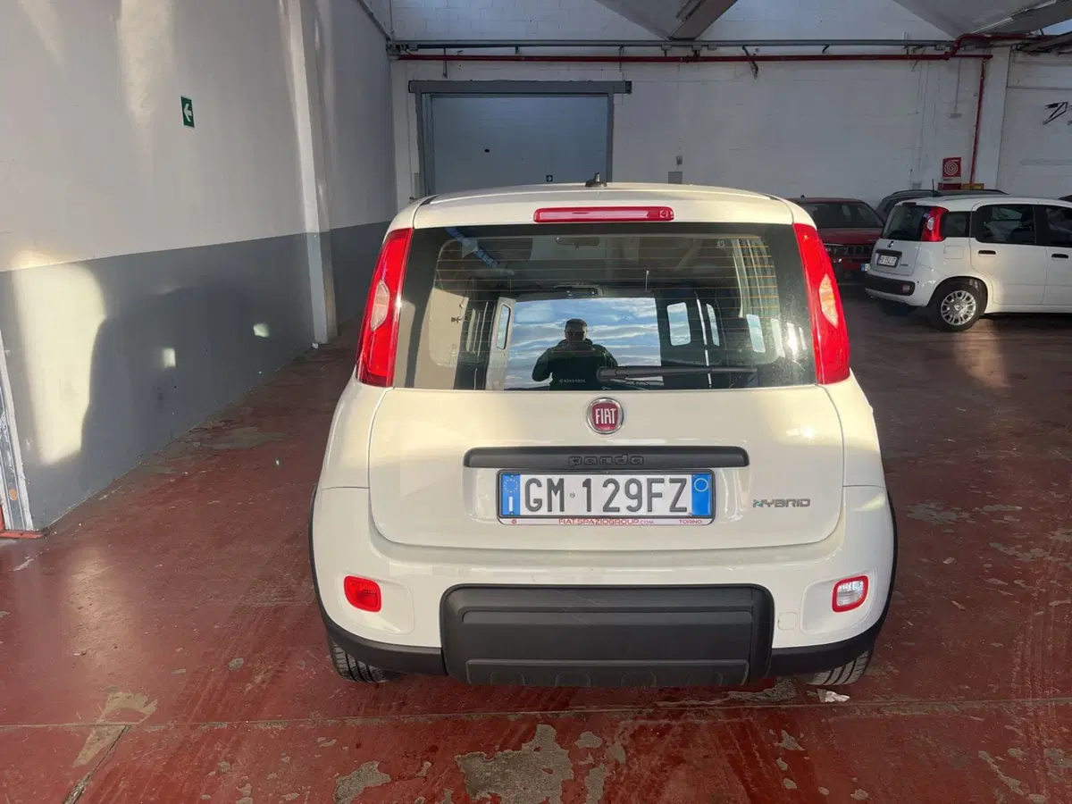 Fiat Panda Cross usata a Torino (5)