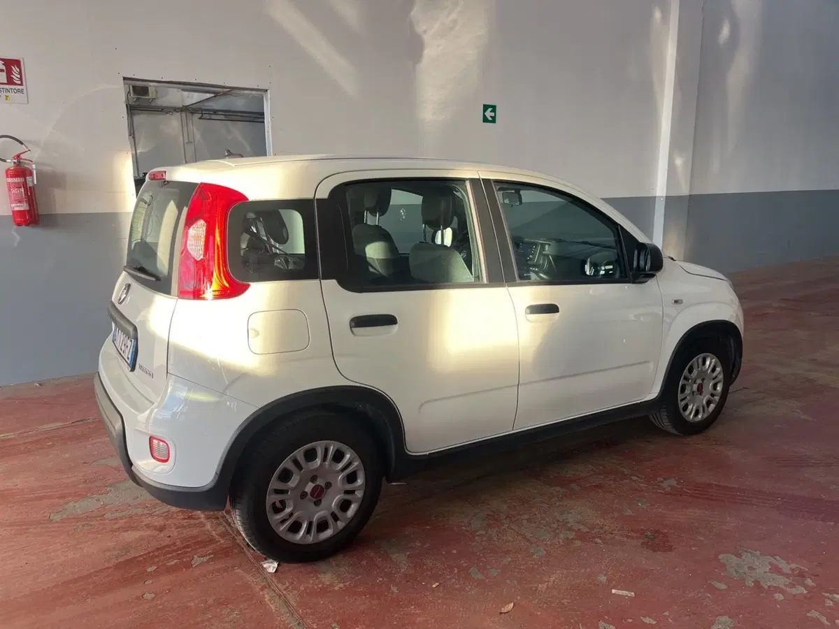 Fiat Panda Cross usata a Torino (6)