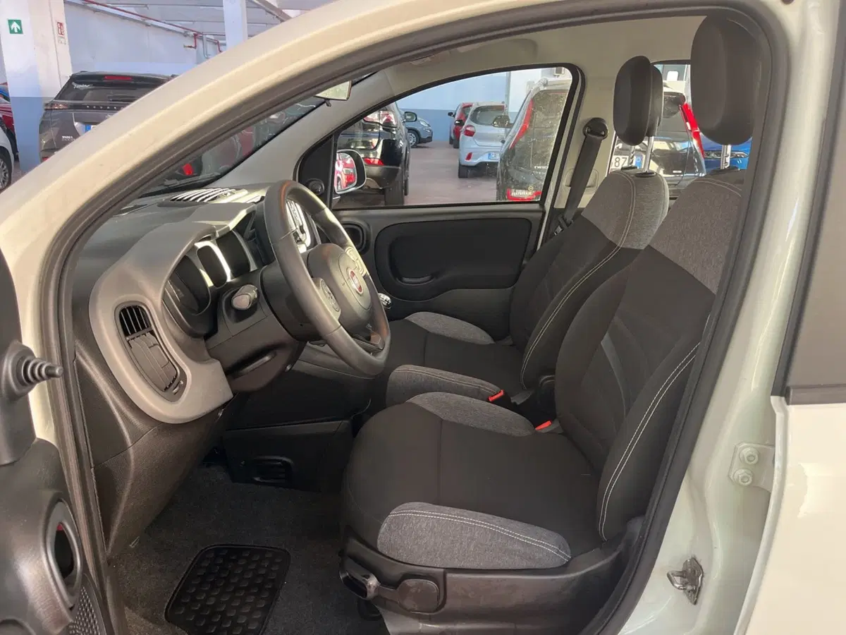 Fiat Panda Cross usata a Torino (8)
