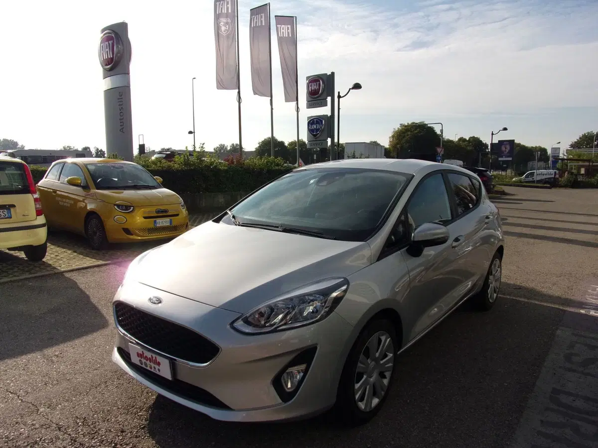 Ford Fiesta usata a Reggio Emilia (3)