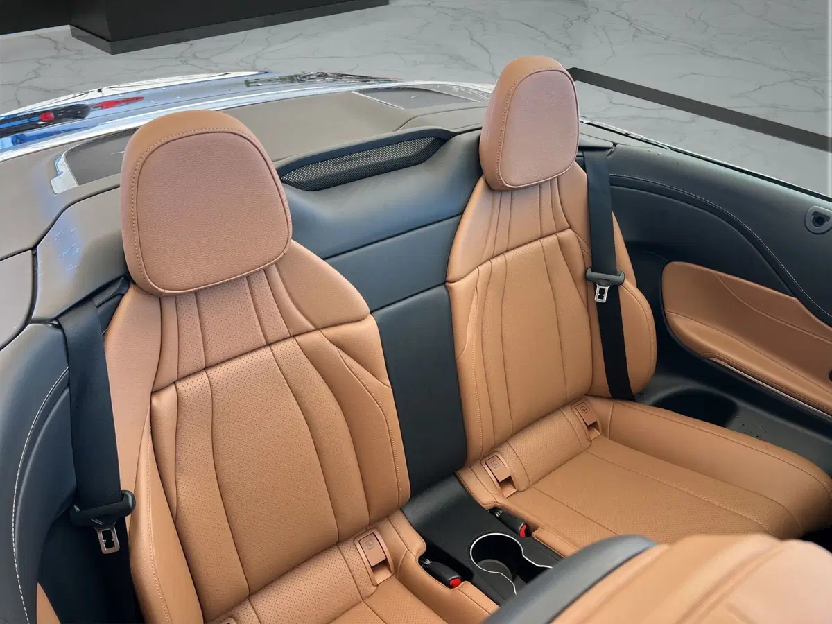 Mercedes-Benz CLE Cabrio usata a Cosenza (18)