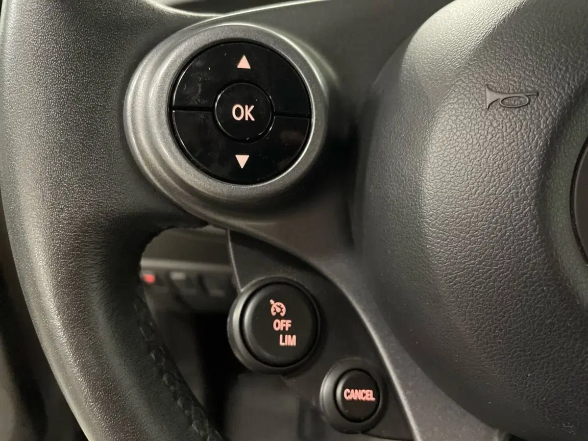 smart Fortwo usata a Macerata (15)