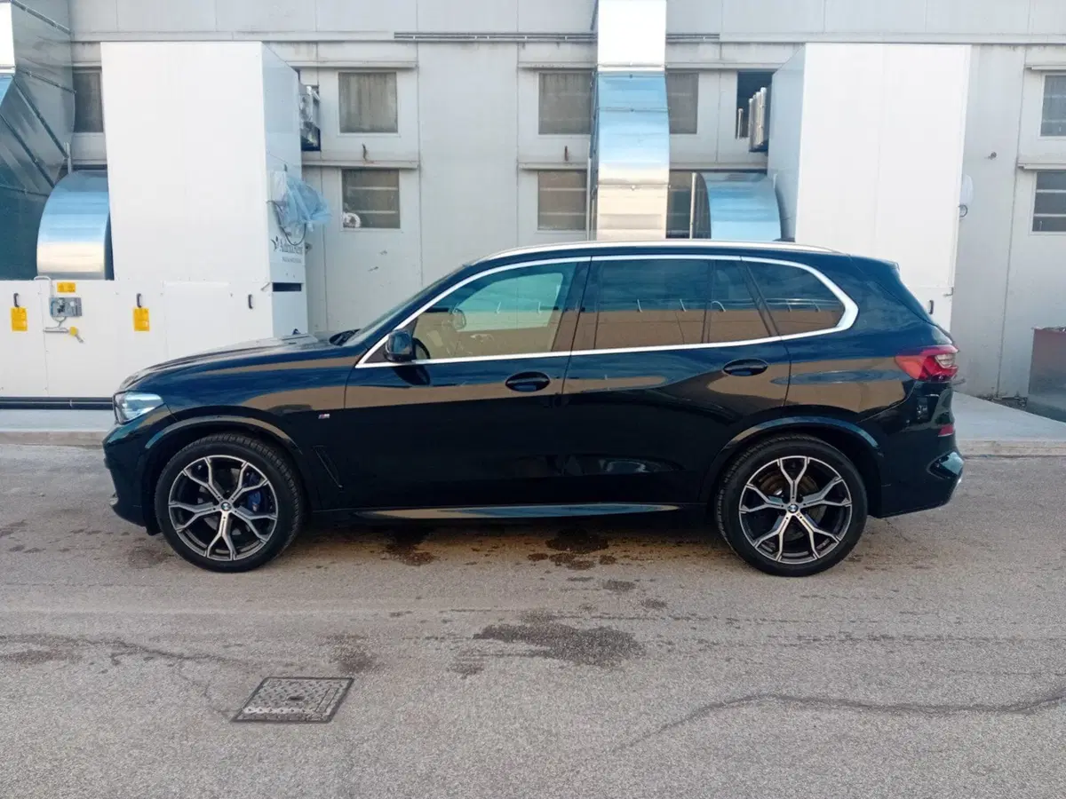BMW X5 usata a Pordenone (2)