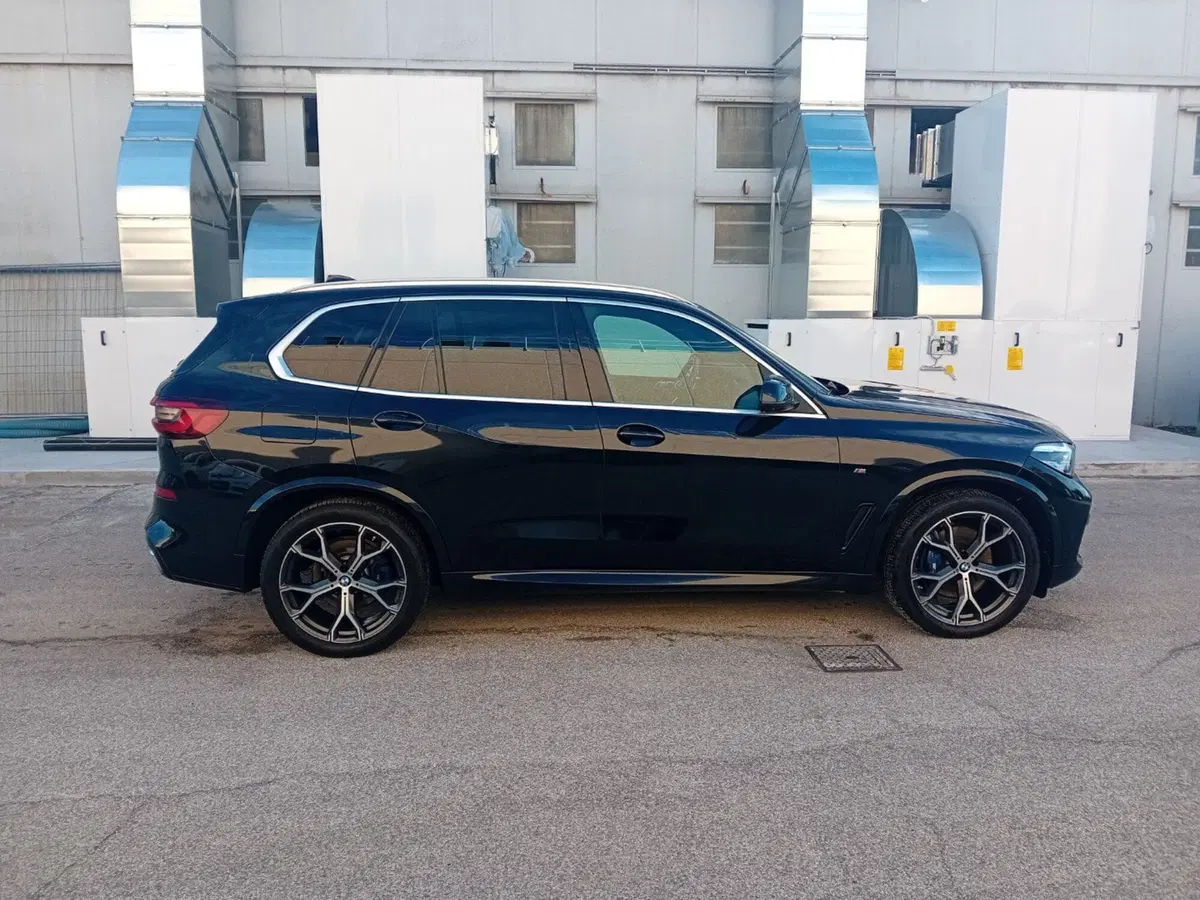 BMW X5 usata a Pordenone (6)