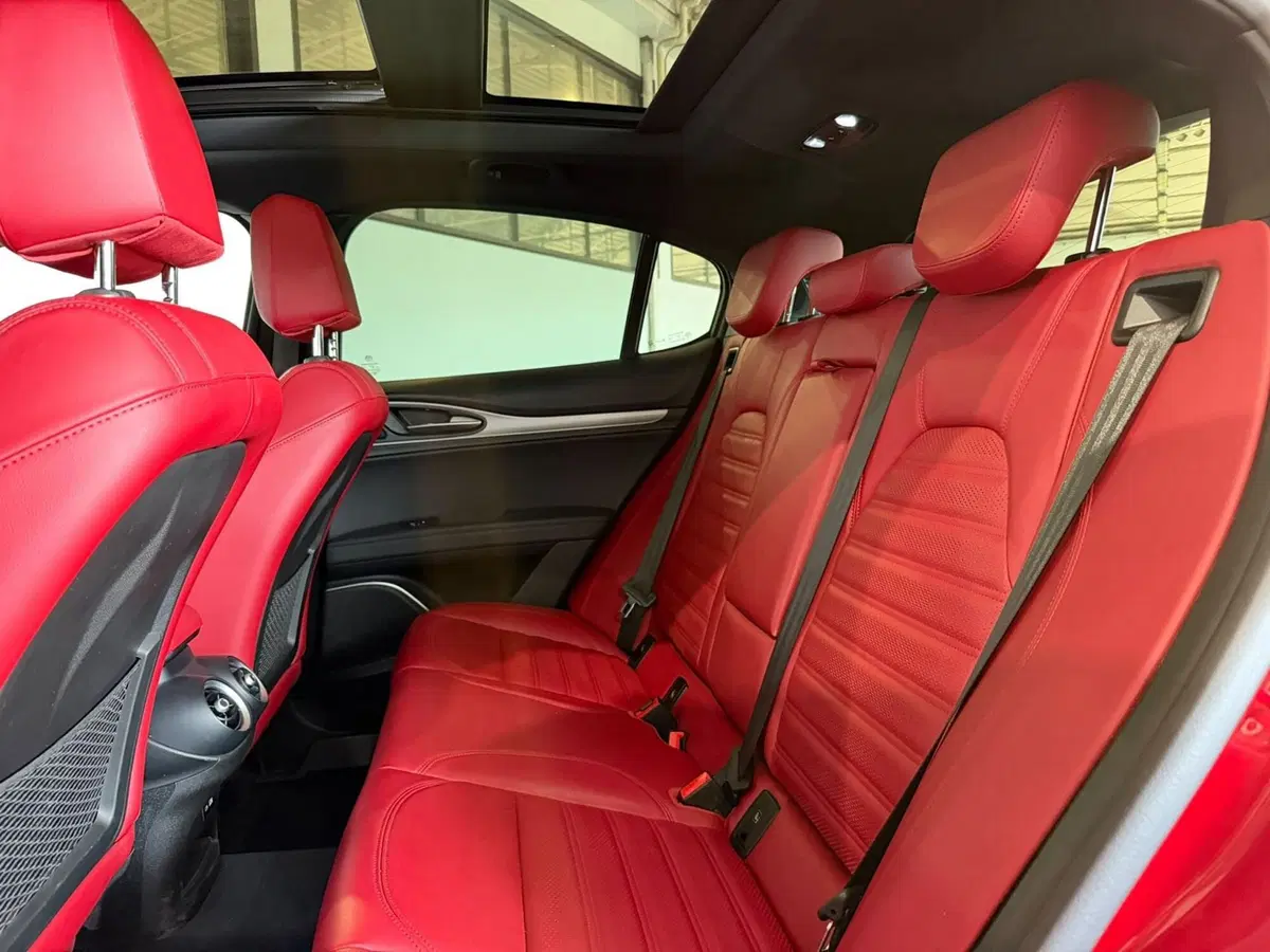 Alfa Romeo Stelvio usata a Monza e Brianza (14)
