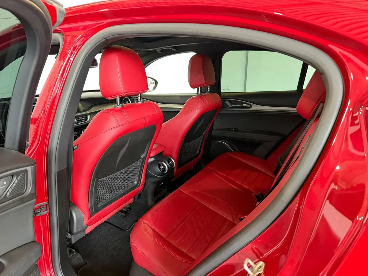 Alfa Romeo Stelvio usata a Monza e Brianza (15)