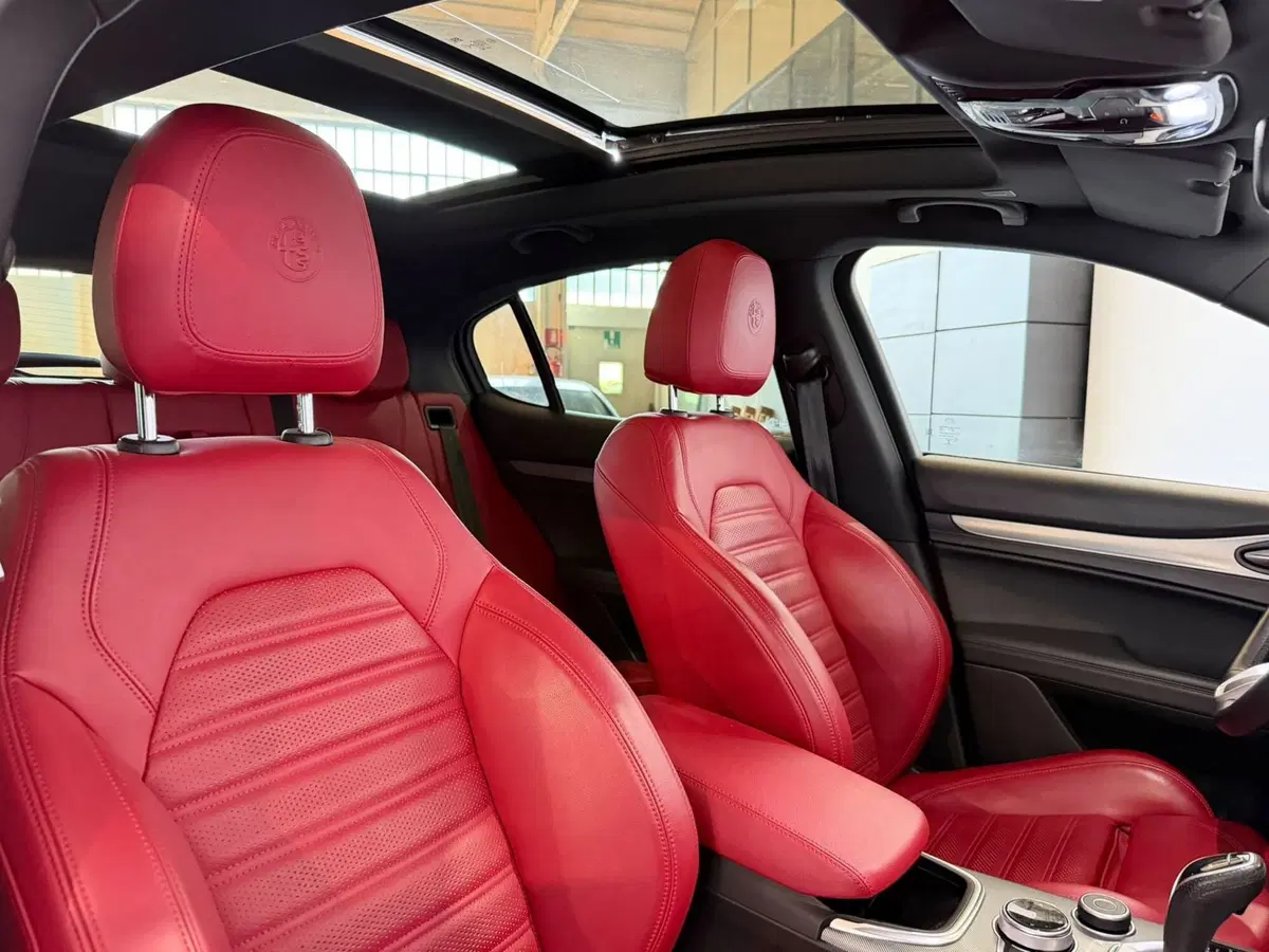 Alfa Romeo Stelvio usata a Monza e Brianza (17)