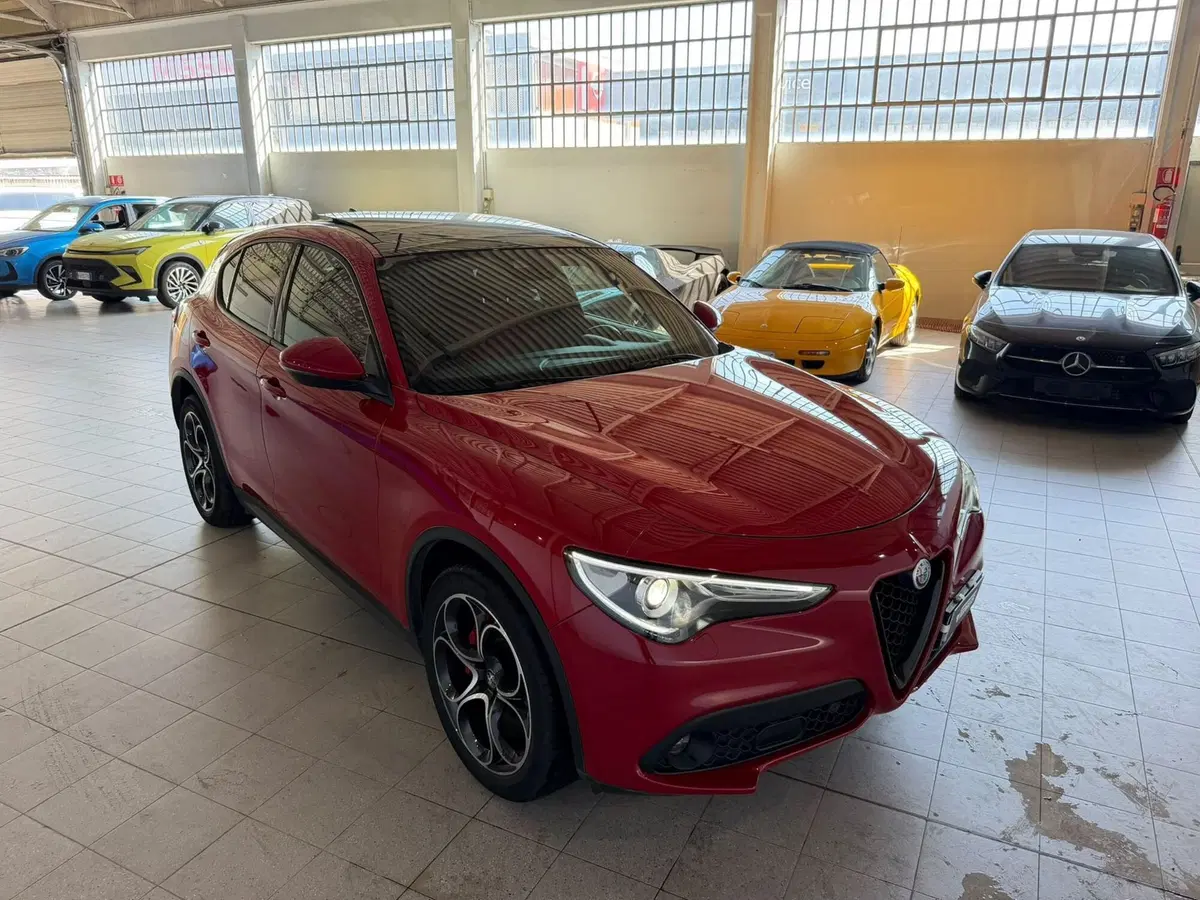 Alfa Romeo Stelvio usata a Monza e Brianza (19)