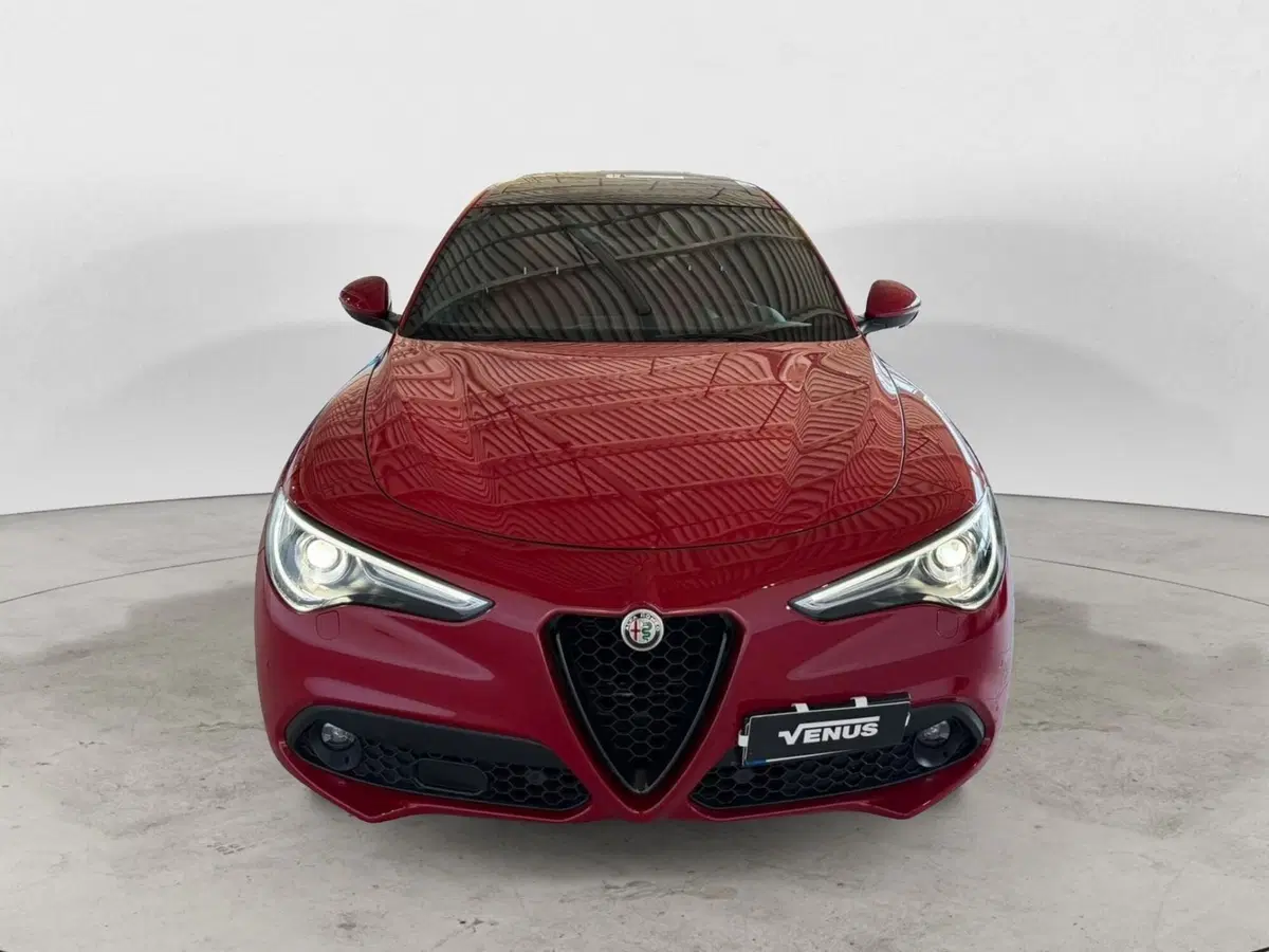 Alfa Romeo Stelvio usata a Monza e Brianza (2)