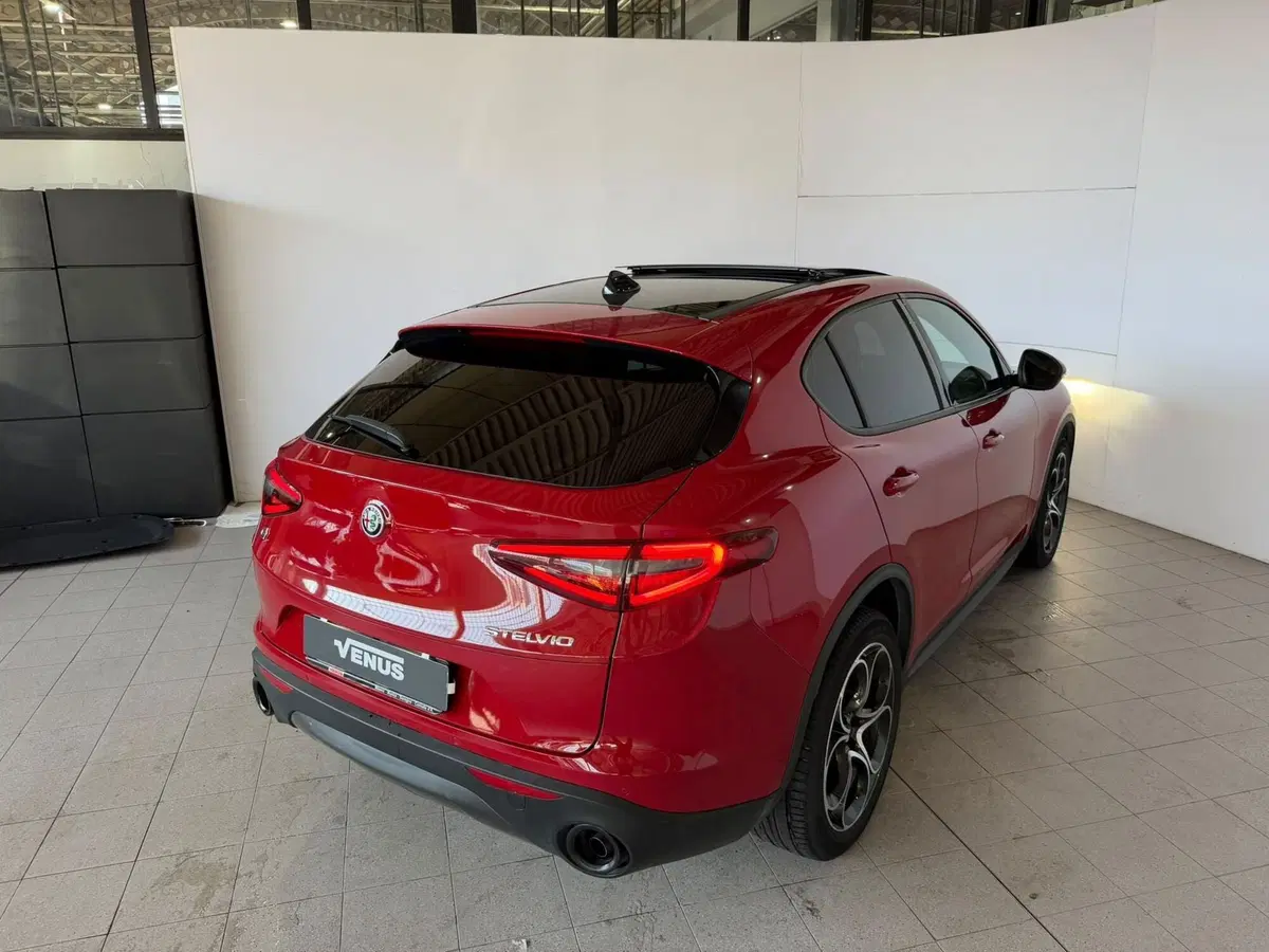 Alfa Romeo Stelvio usata a Monza e Brianza (7)