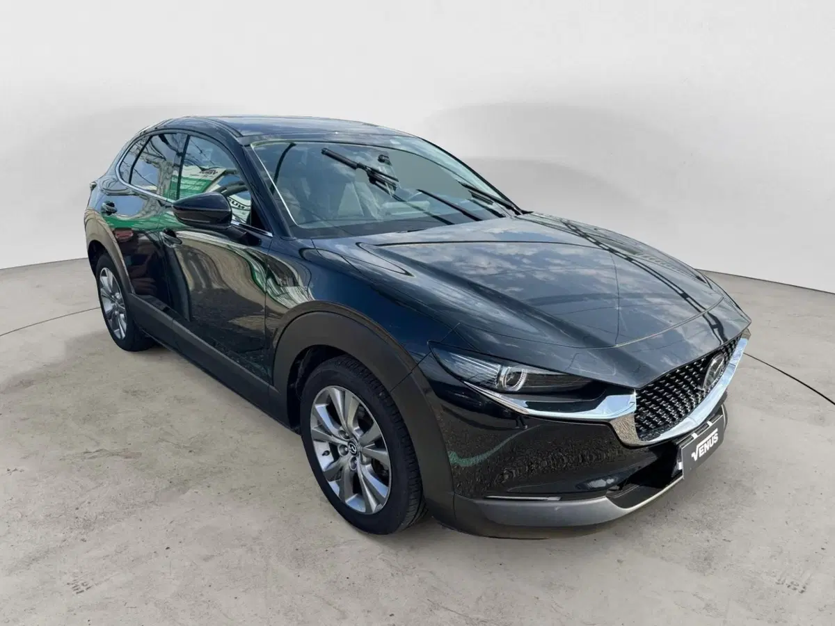 Mazda CX-30 usata a Monza e Brianza (12)