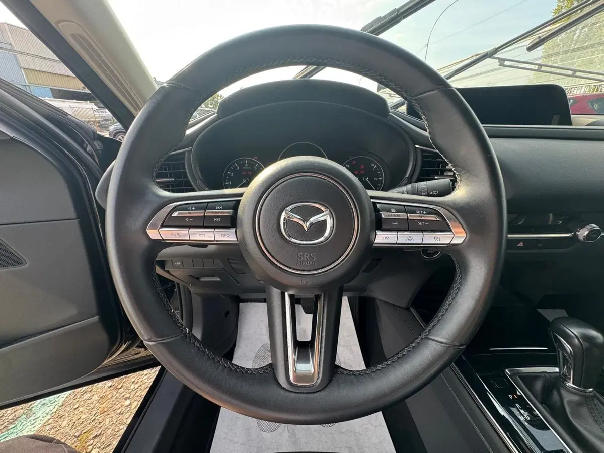 Mazda CX-30 usata a Monza e Brianza (16)