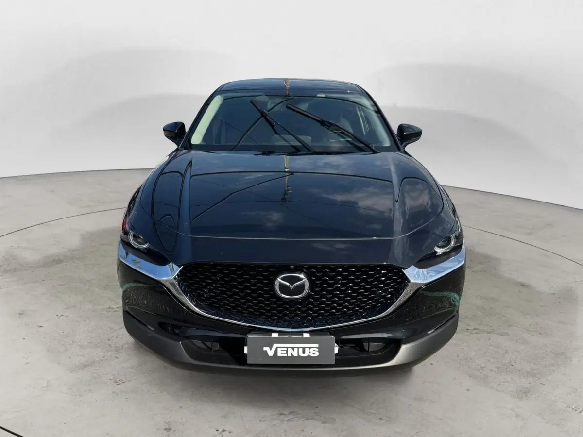 Mazda CX-30 usata a Monza e Brianza (2)