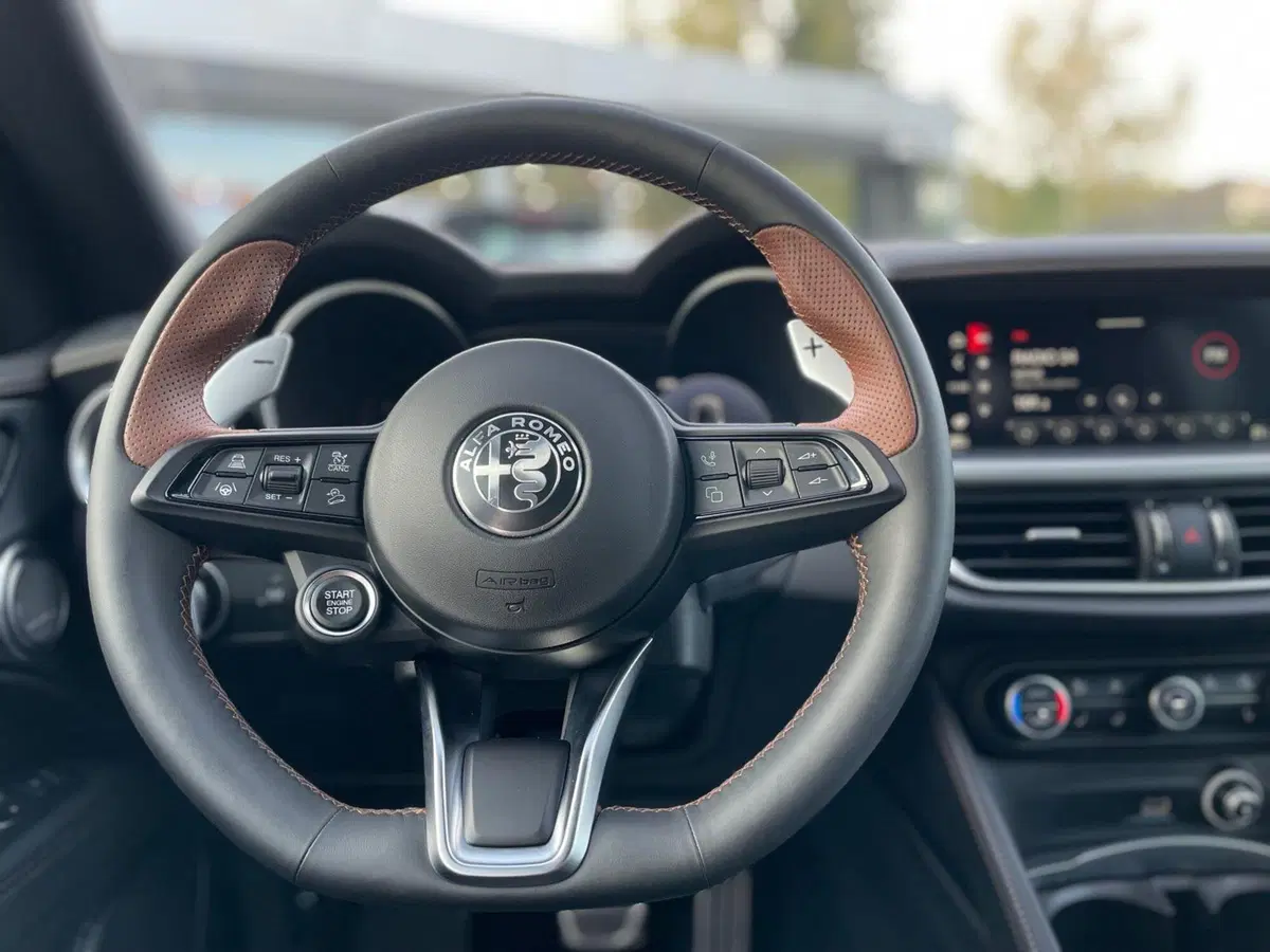 Alfa Romeo Stelvio usata a Ancona (11)