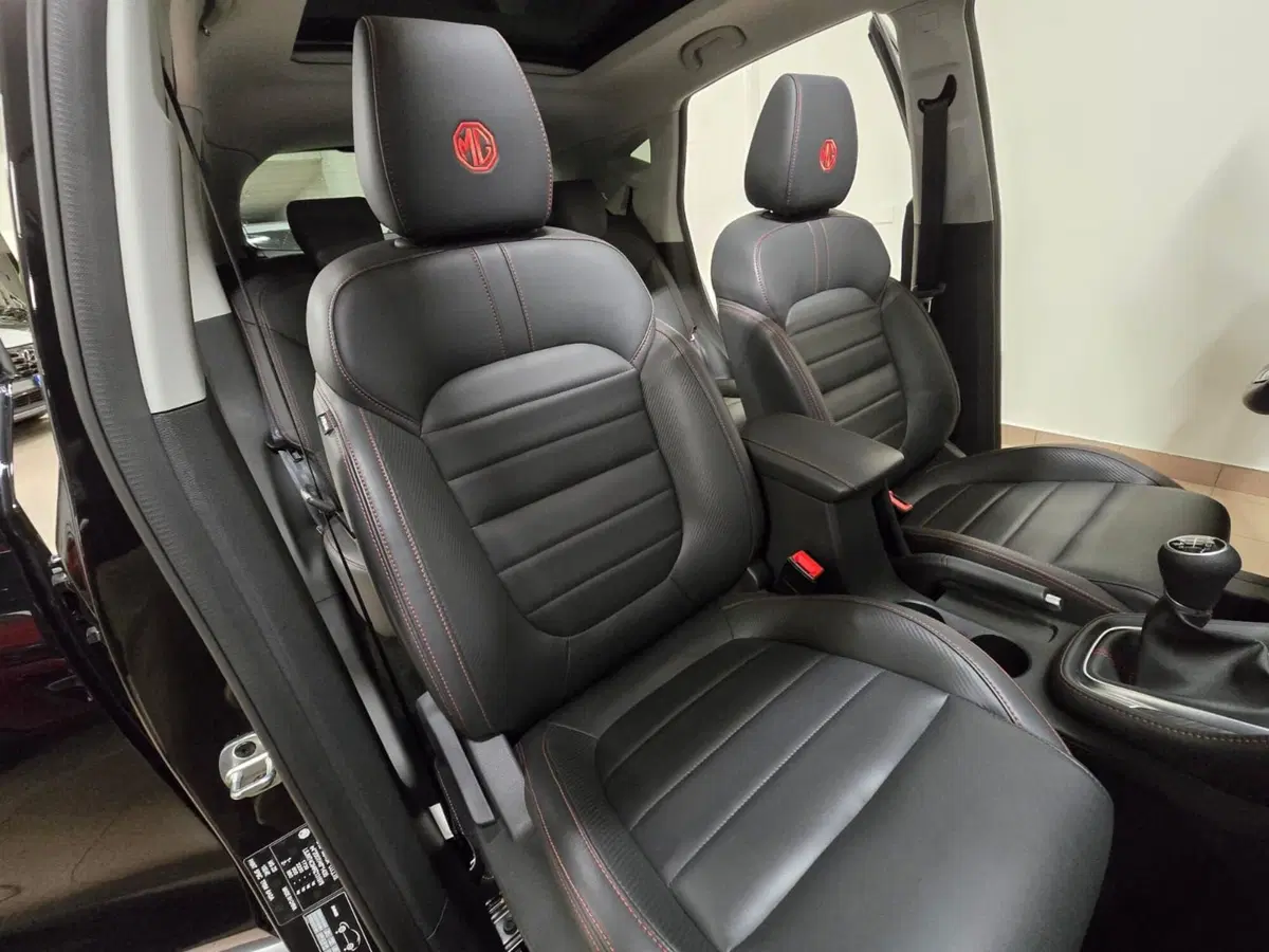 Mg ZS usata a Rimini (15)