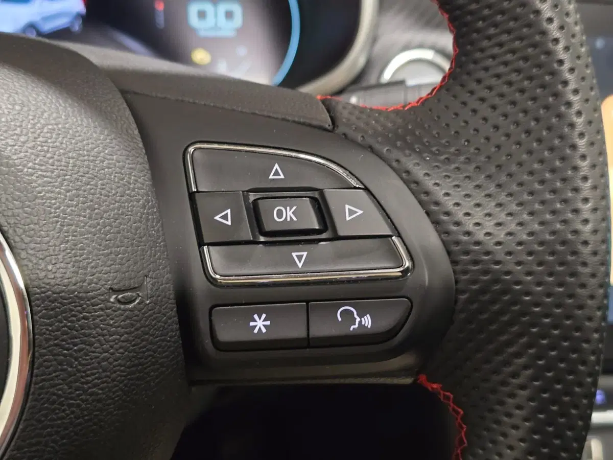 Mg ZS usata a Rimini (19)