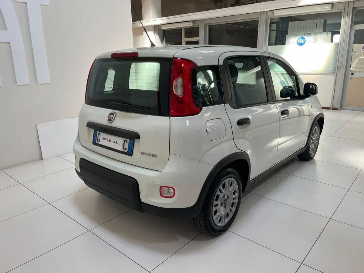 Fiat Panda Cross usata a Lucca (5)