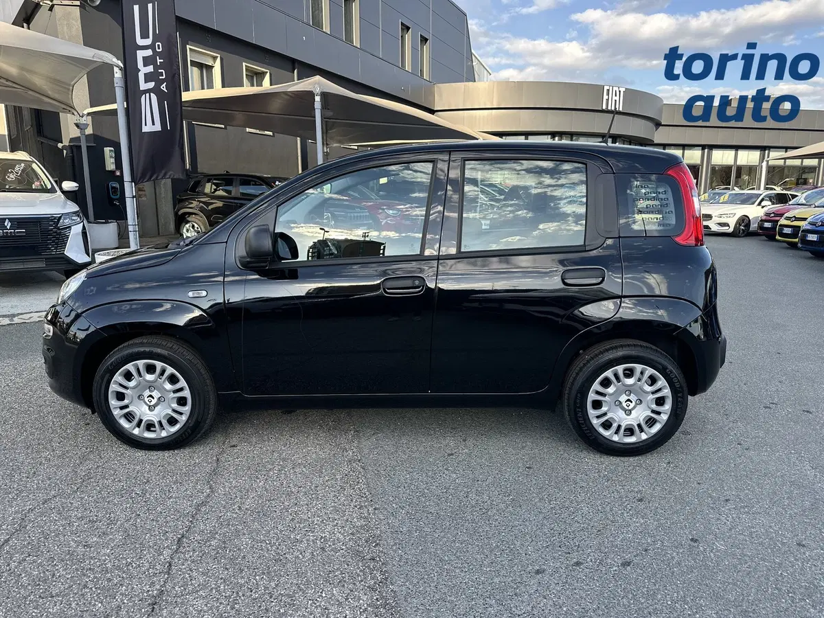 Fiat Pandina nuova a Torino (4)