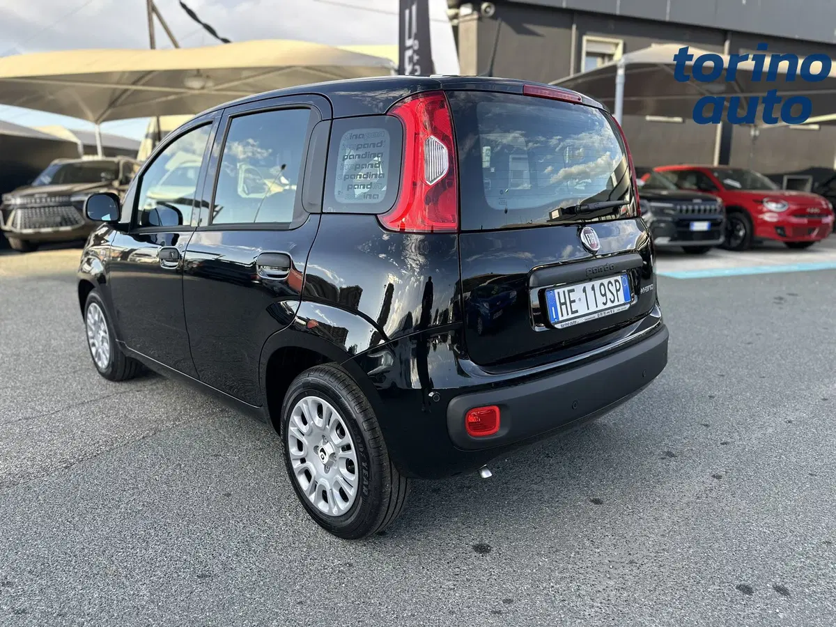Fiat Pandina nuova a Torino (5)