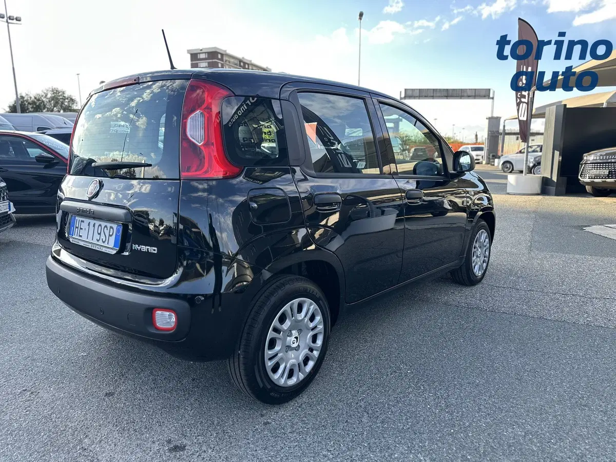 Fiat Pandina nuova a Torino (7)