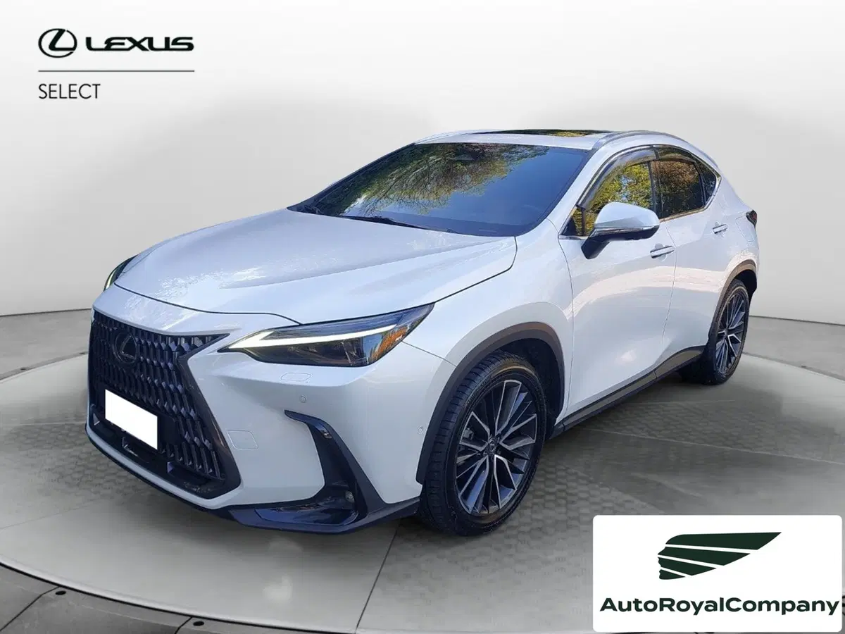 Lexus NX usata a Roma