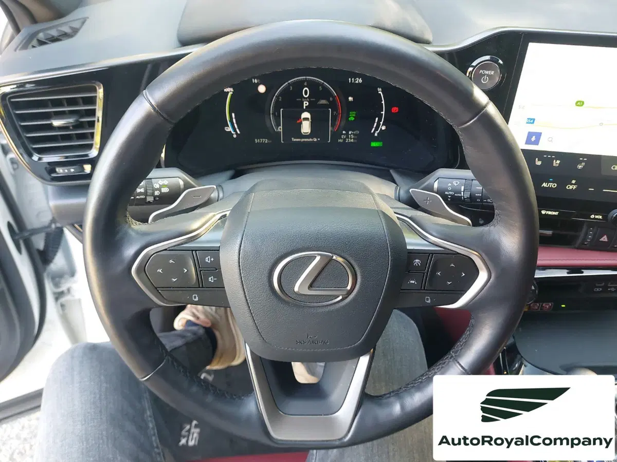 Lexus NX usata a Roma (14)