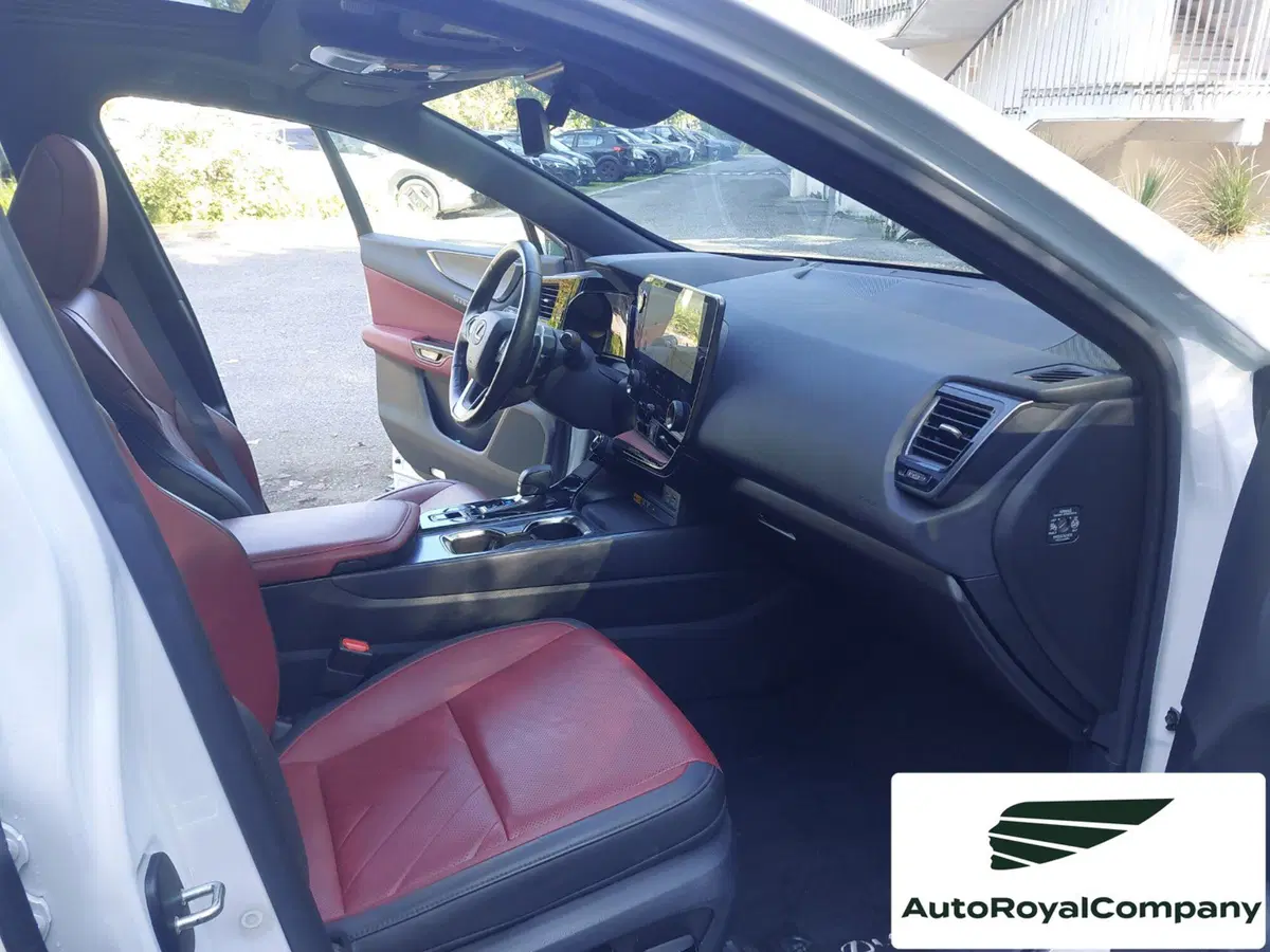 Lexus NX usata a Roma (17)