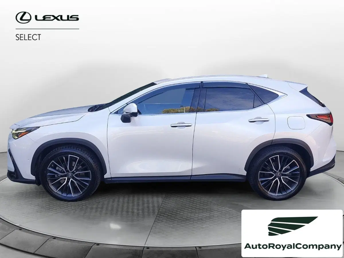 Lexus NX usata a Roma (2)