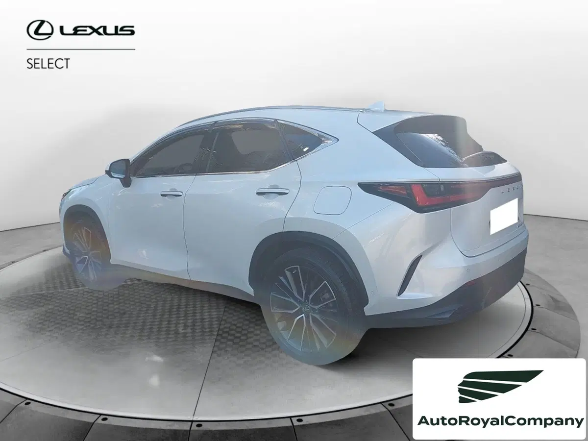 Lexus NX usata a Roma (3)