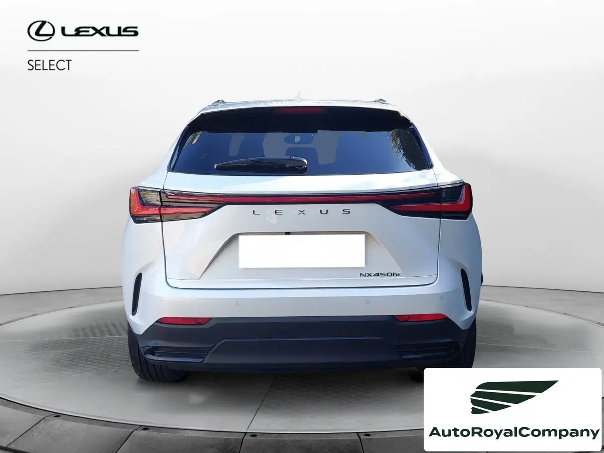 Lexus NX usata a Roma (4)