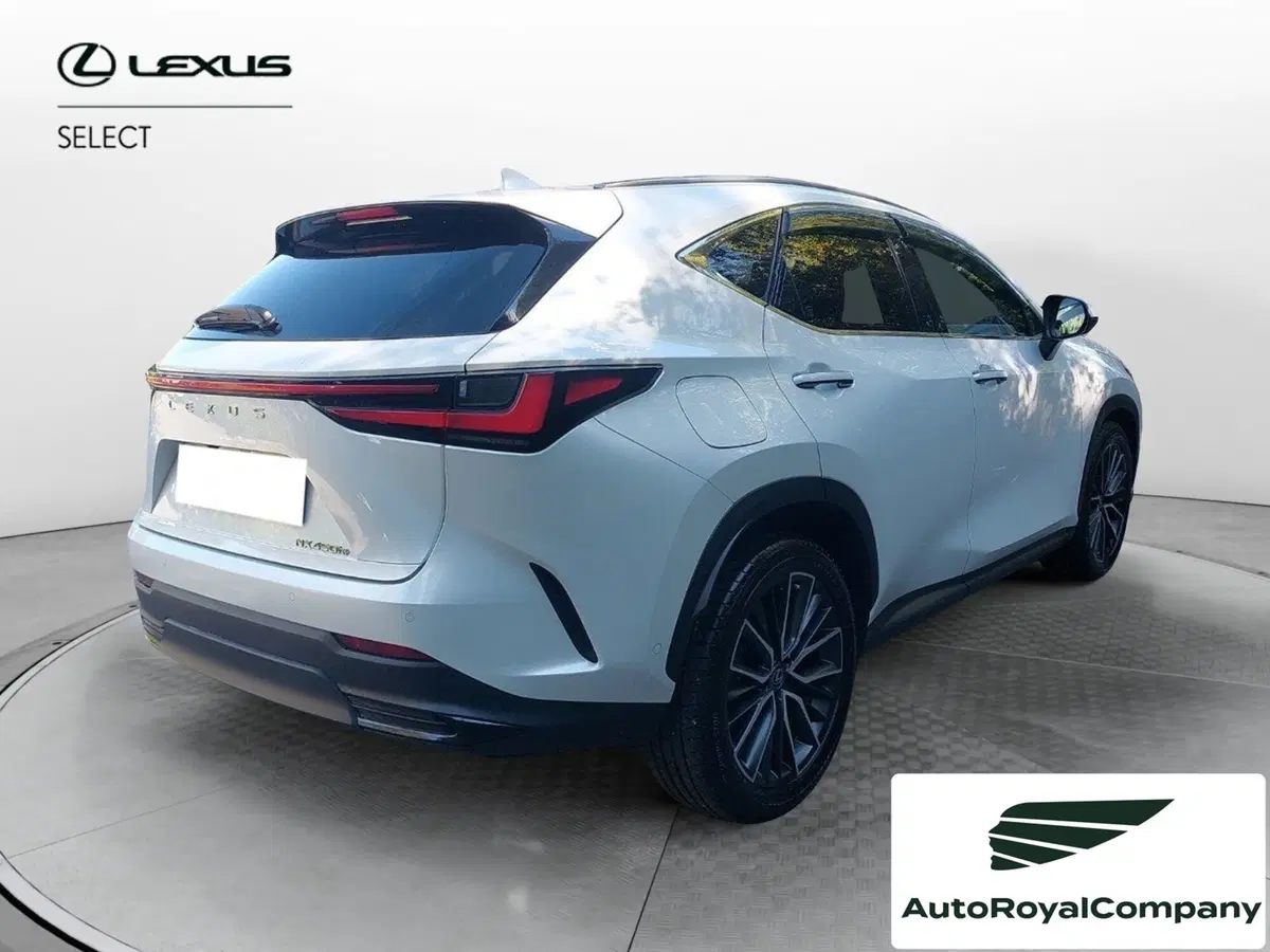 Lexus NX usata a Roma (5)