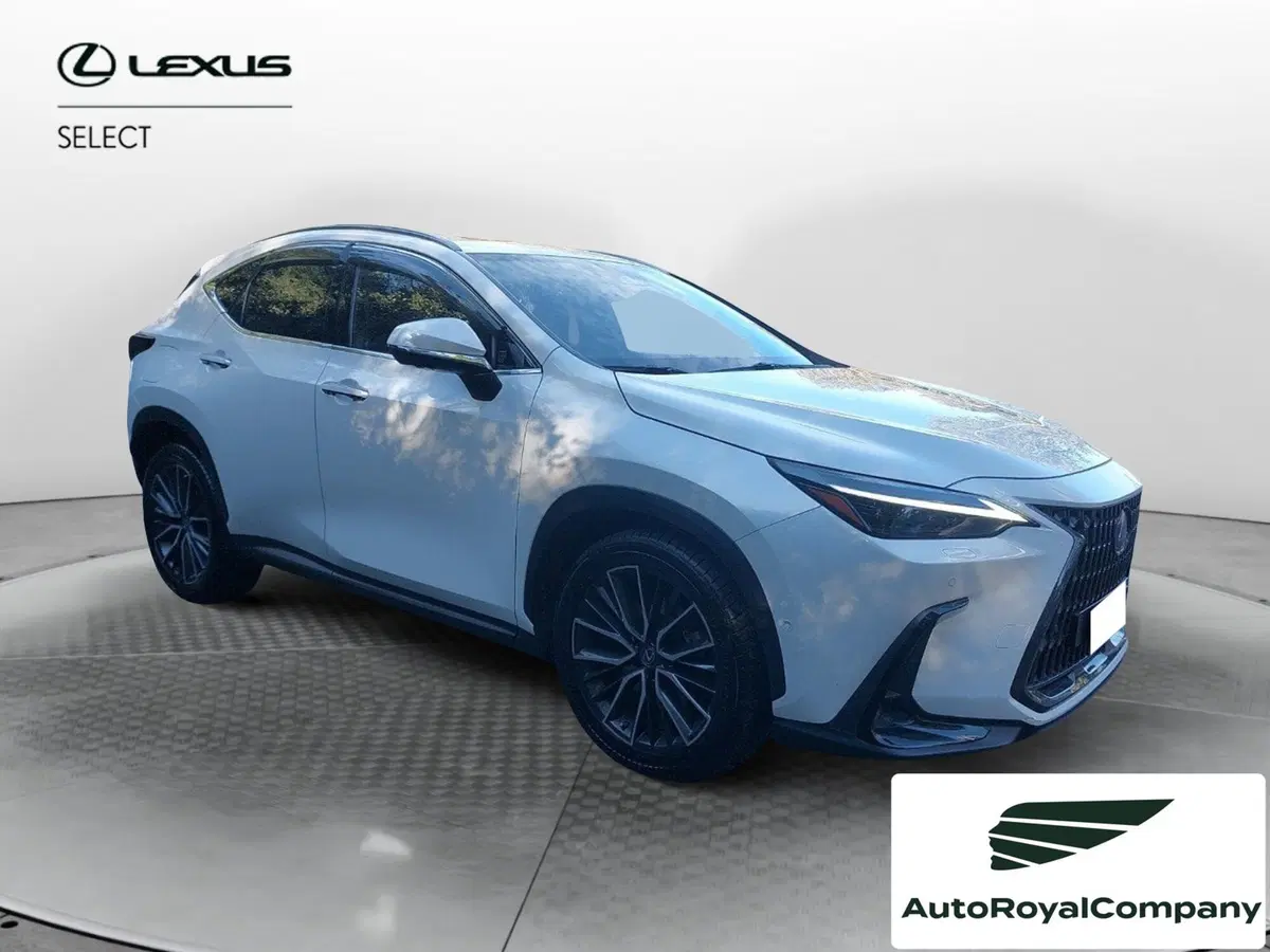Lexus NX usata a Roma (6)