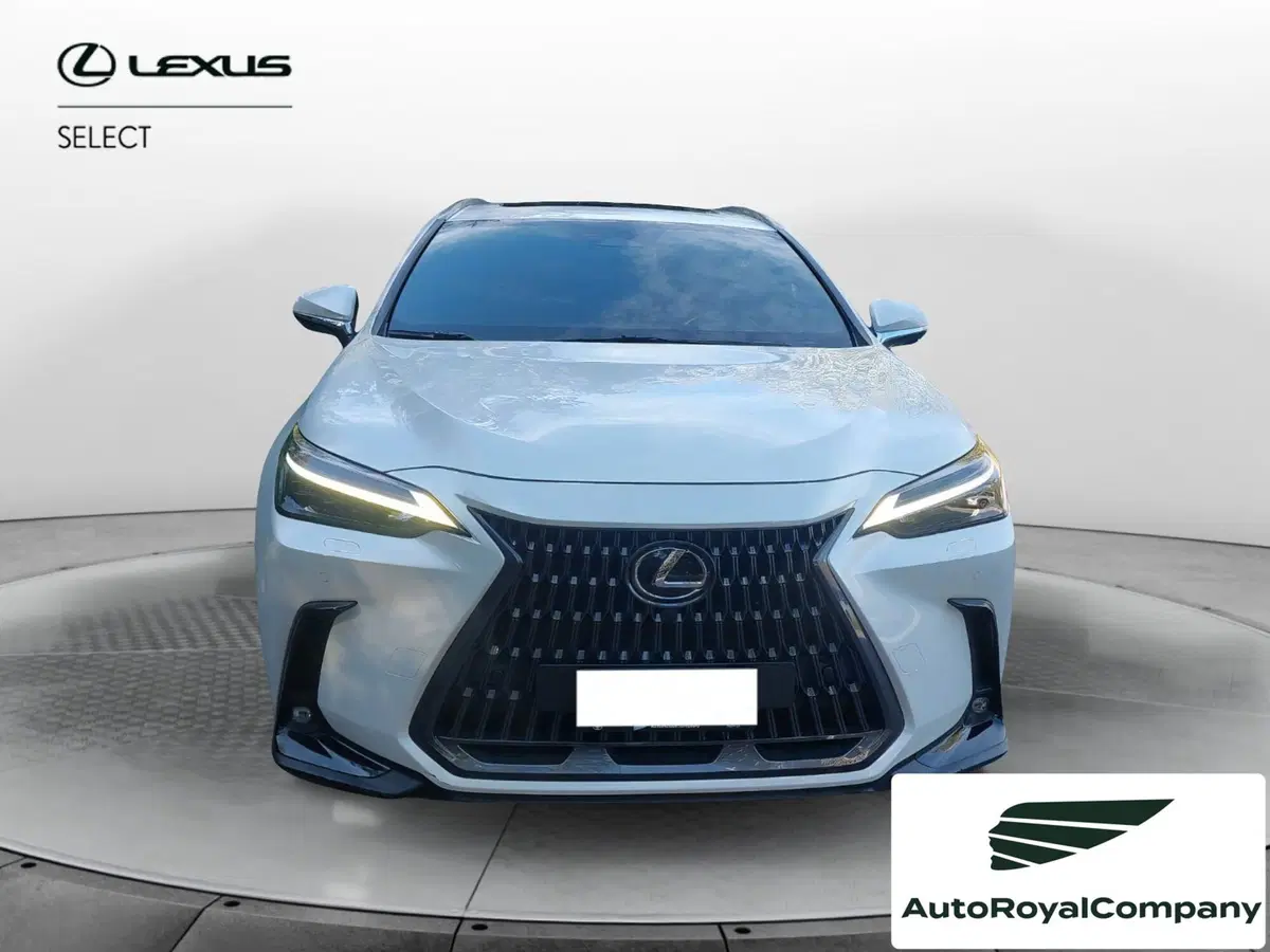 Lexus NX usata a Roma (7)