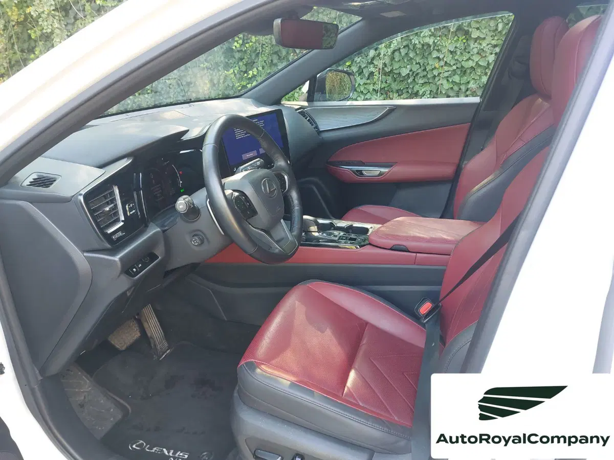 Lexus NX usata a Roma (8)