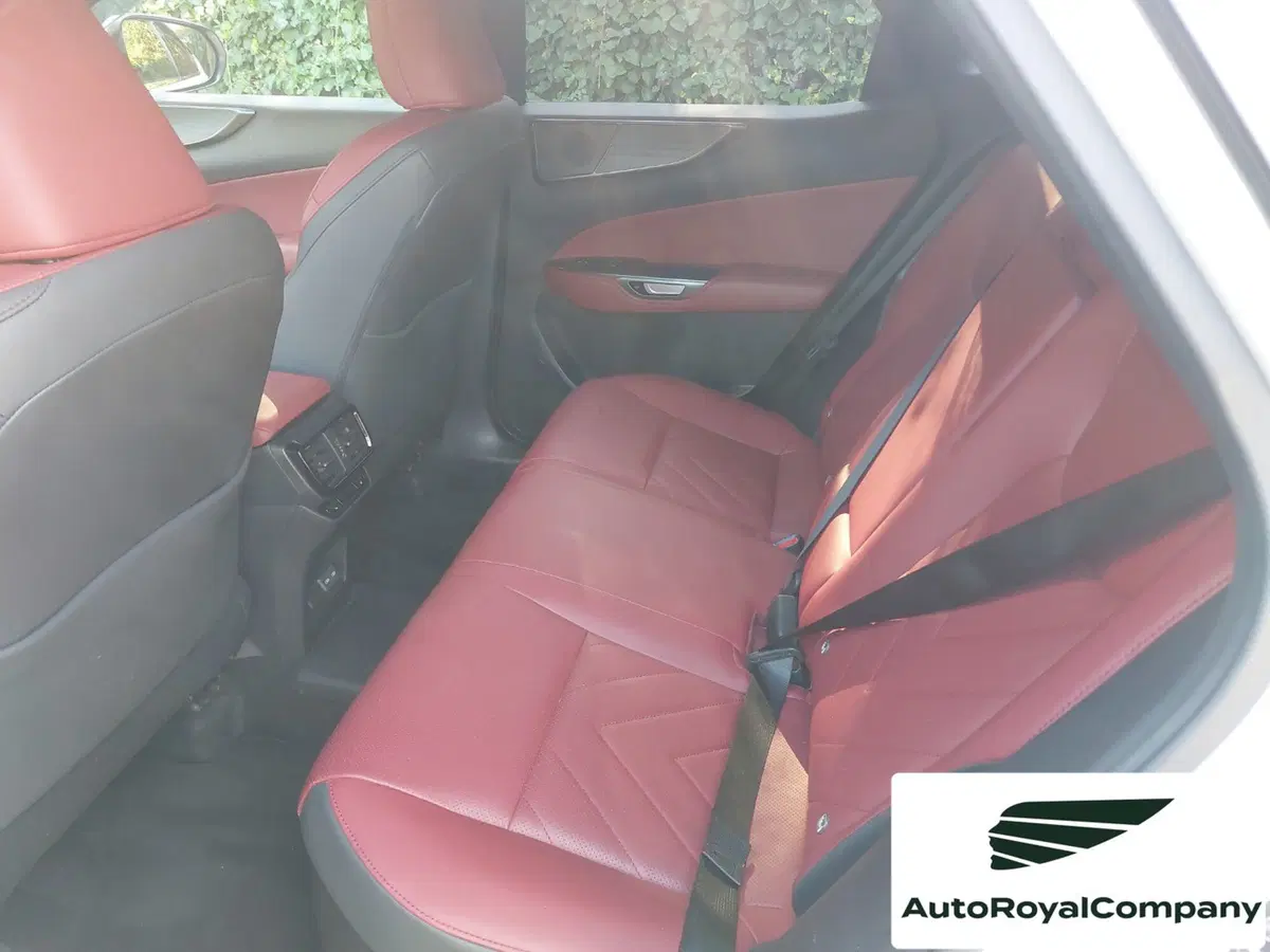 Lexus NX usata a Roma (9)