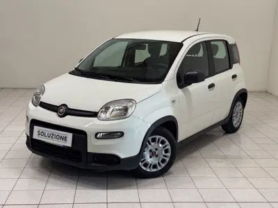Fiat Panda 1.0 firefly hybrid s&s 70cv 5p.ti del 2023 usata a Novara