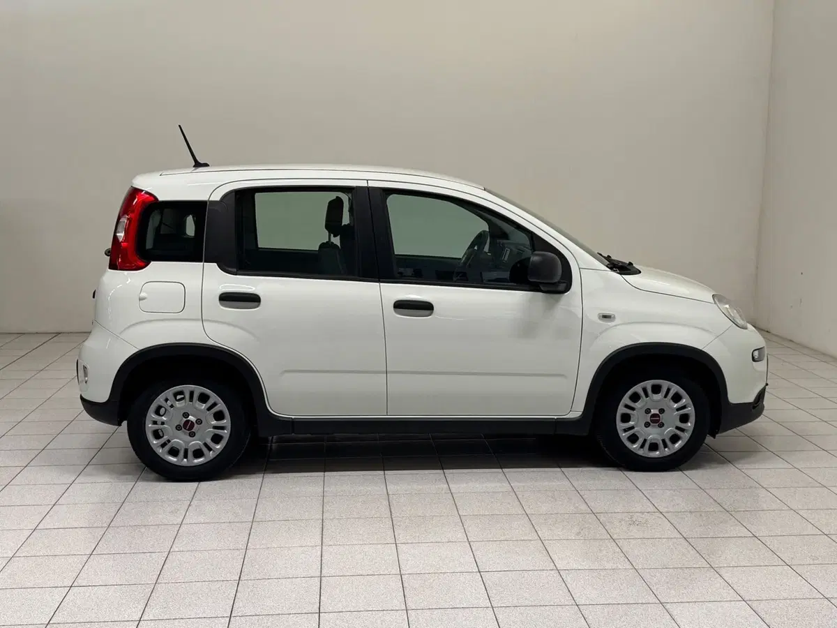Fiat Panda usata a Novara (6)