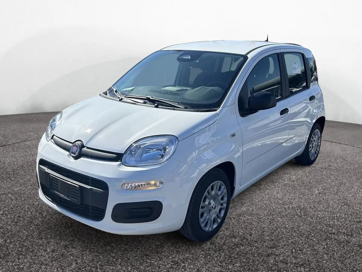 Vendo Fiat Pandina van 1.0 Hybrid 65cv S&S Icon nuova a Roma (codice ...