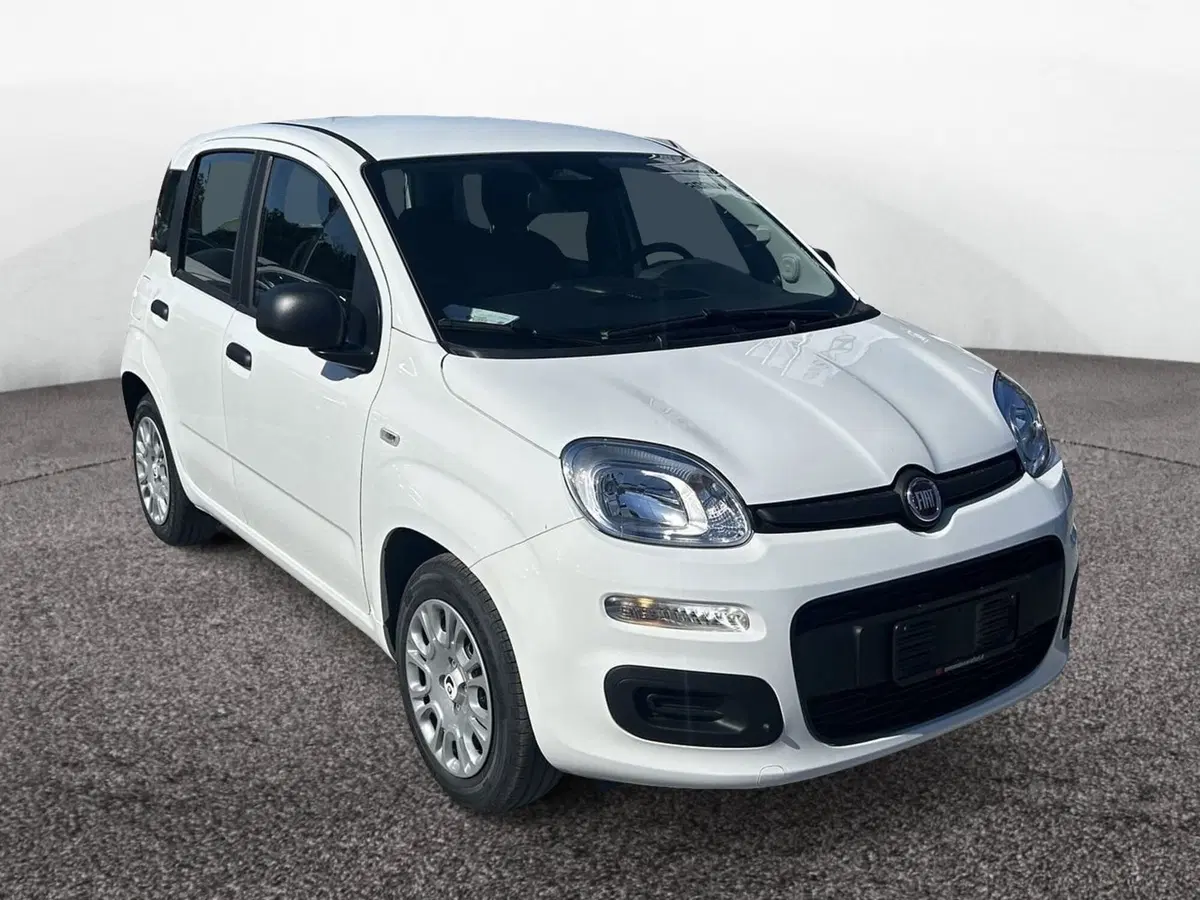 Vendo Fiat Pandina van 1.0 Hybrid 65cv S&S Icon nuova a Roma (codice ...