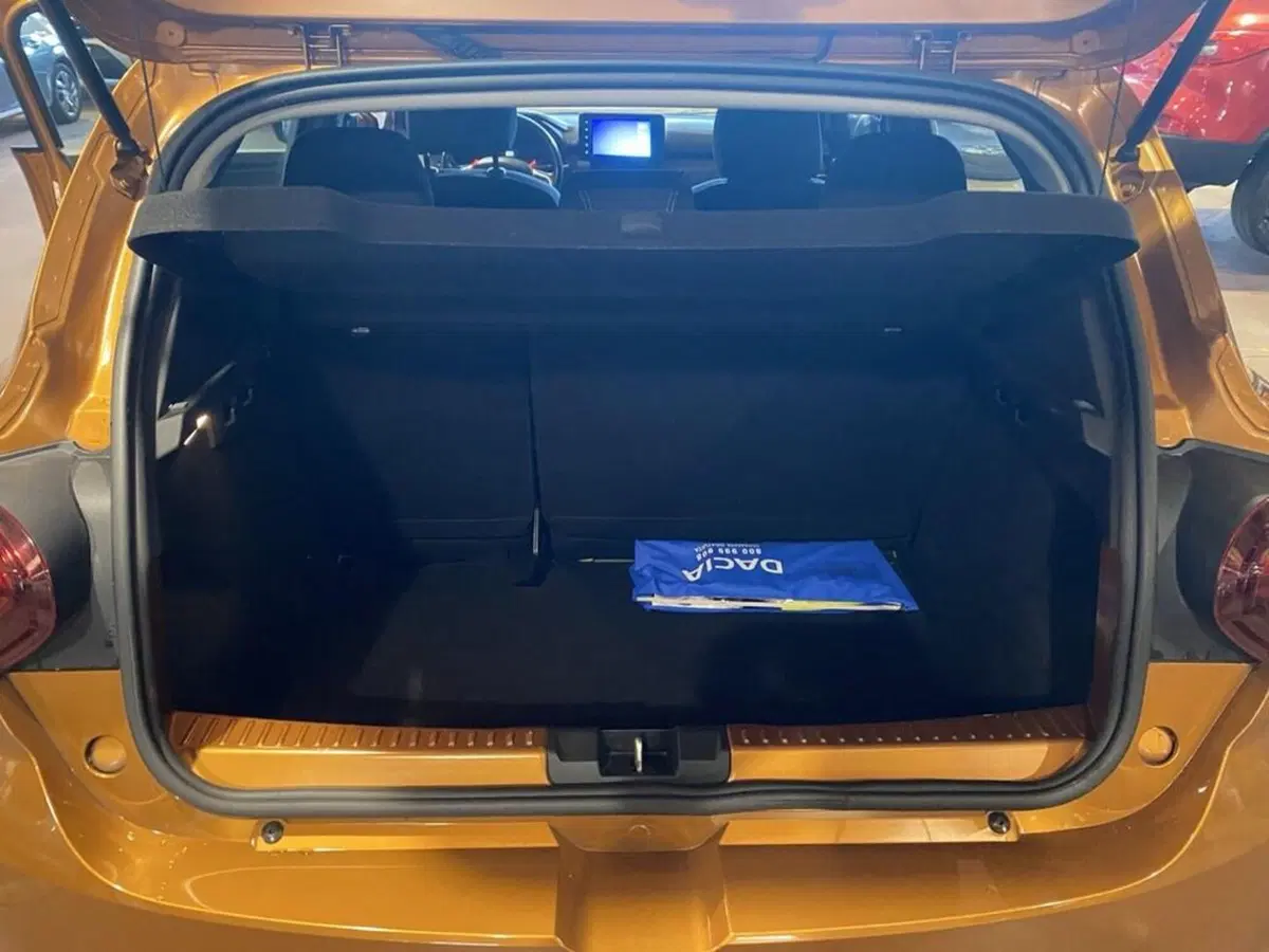 Dacia Sandero usata a Torino (9)