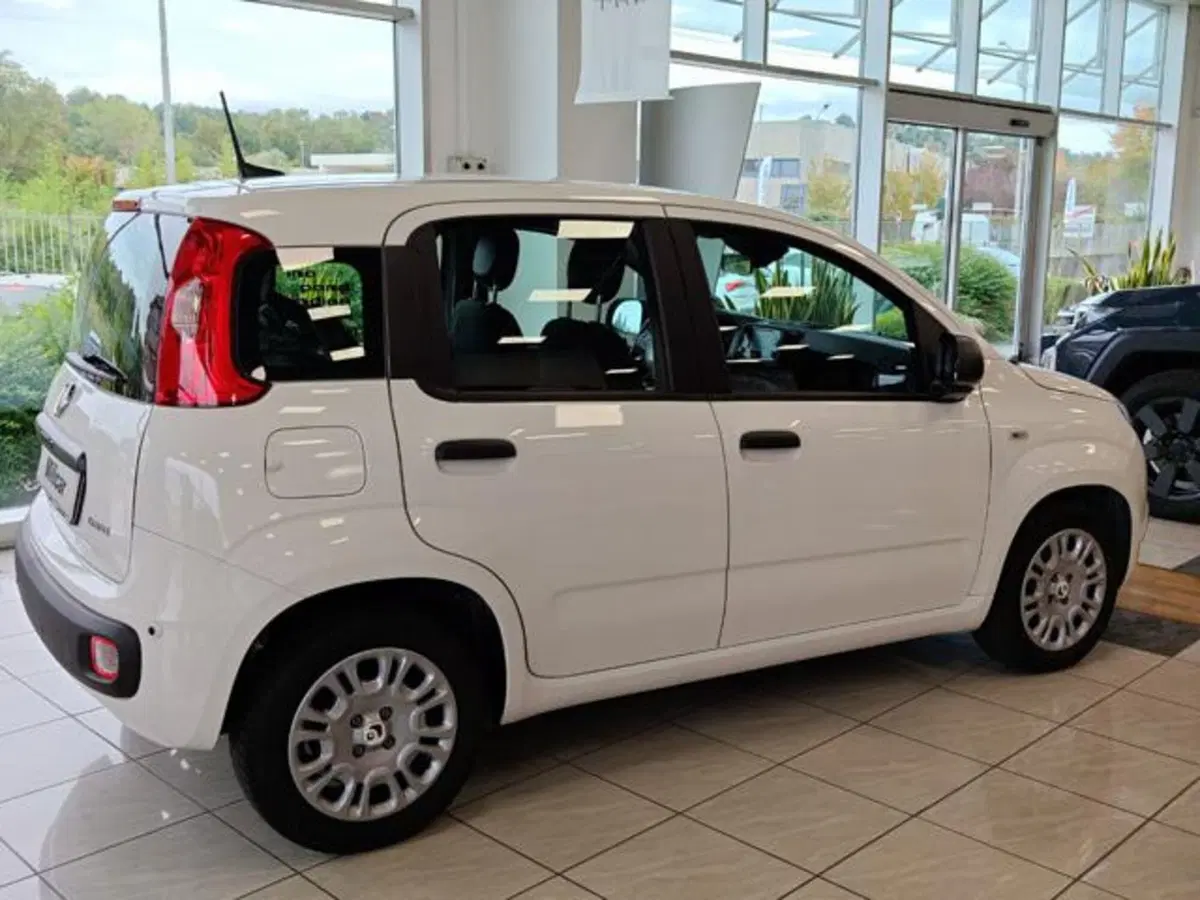 Fiat Panda usata a Varese (4)