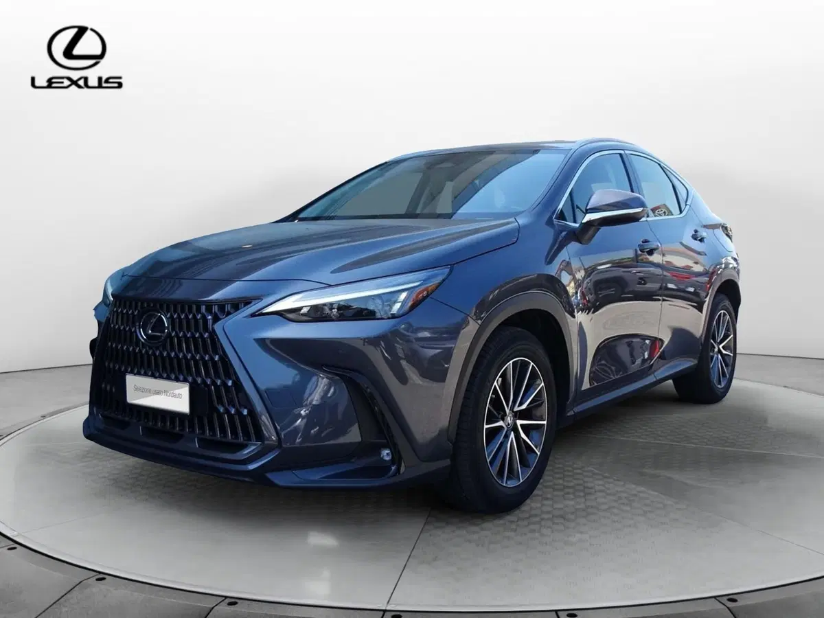 Lexus NX usata a Venezia