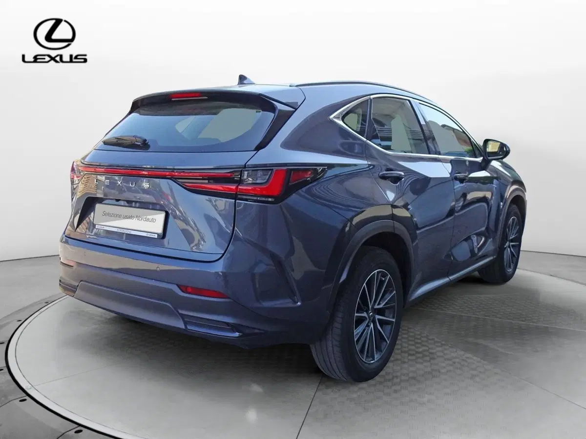 Lexus NX usata a Venezia (4)