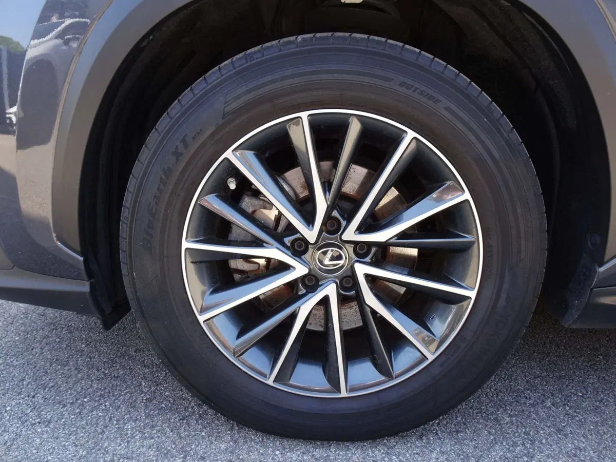 Lexus NX usata a Venezia (6)