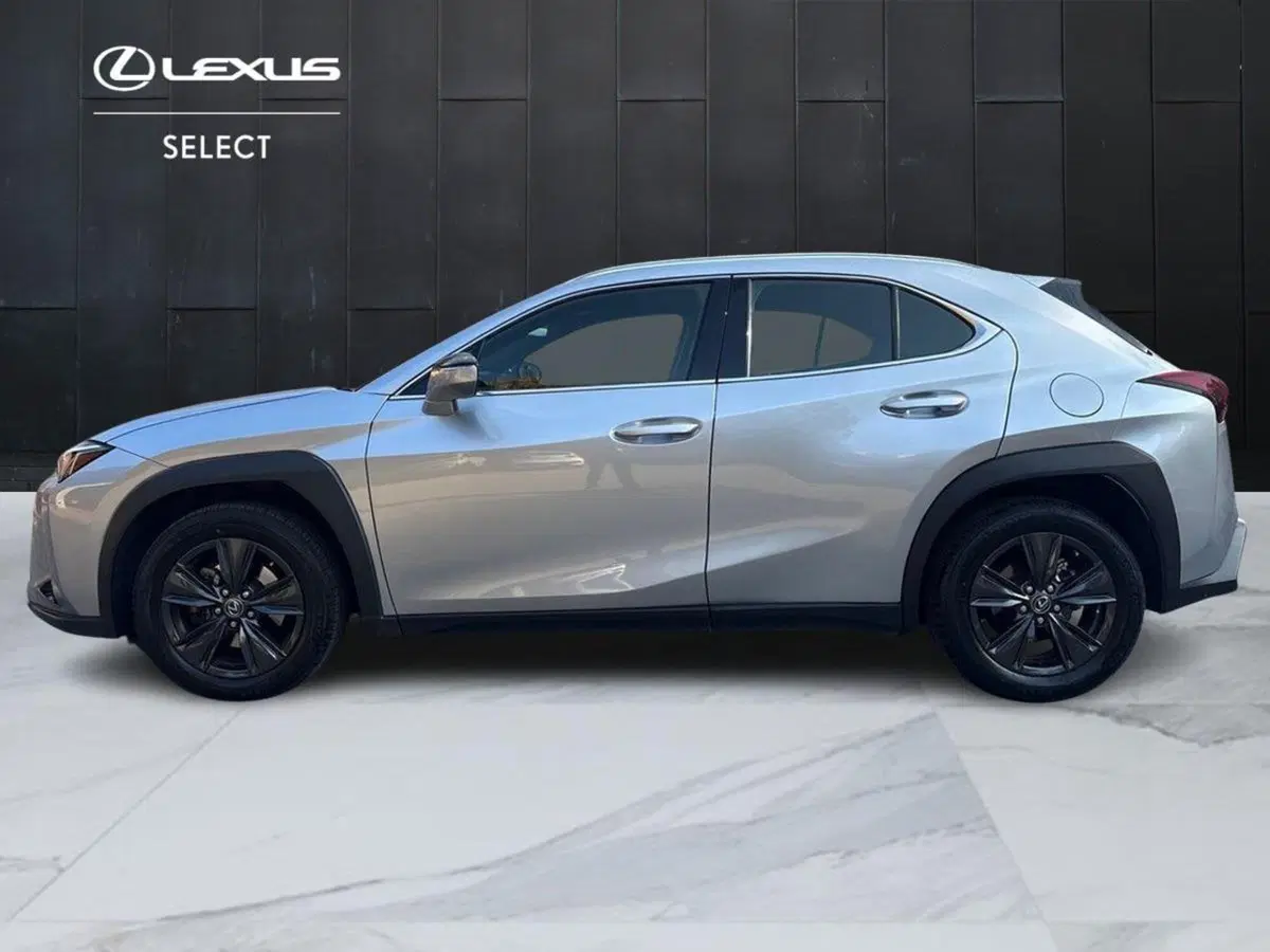 Lexus UX usata a Bologna (4)