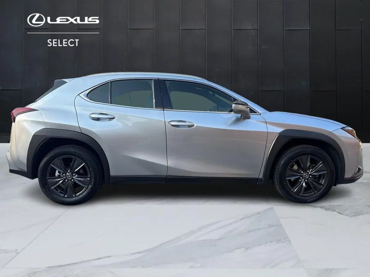 Lexus UX usata a Bologna (5)