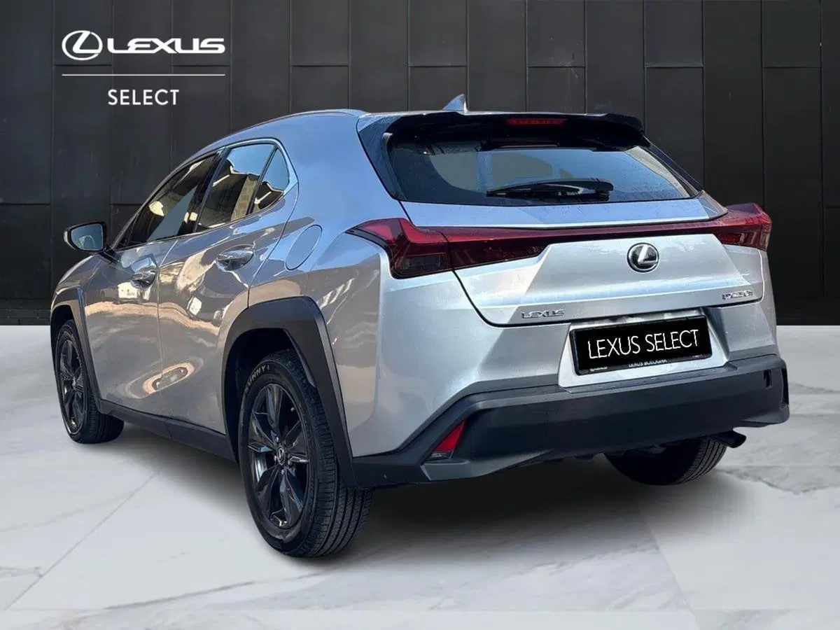 Lexus UX usata a Bologna (6)