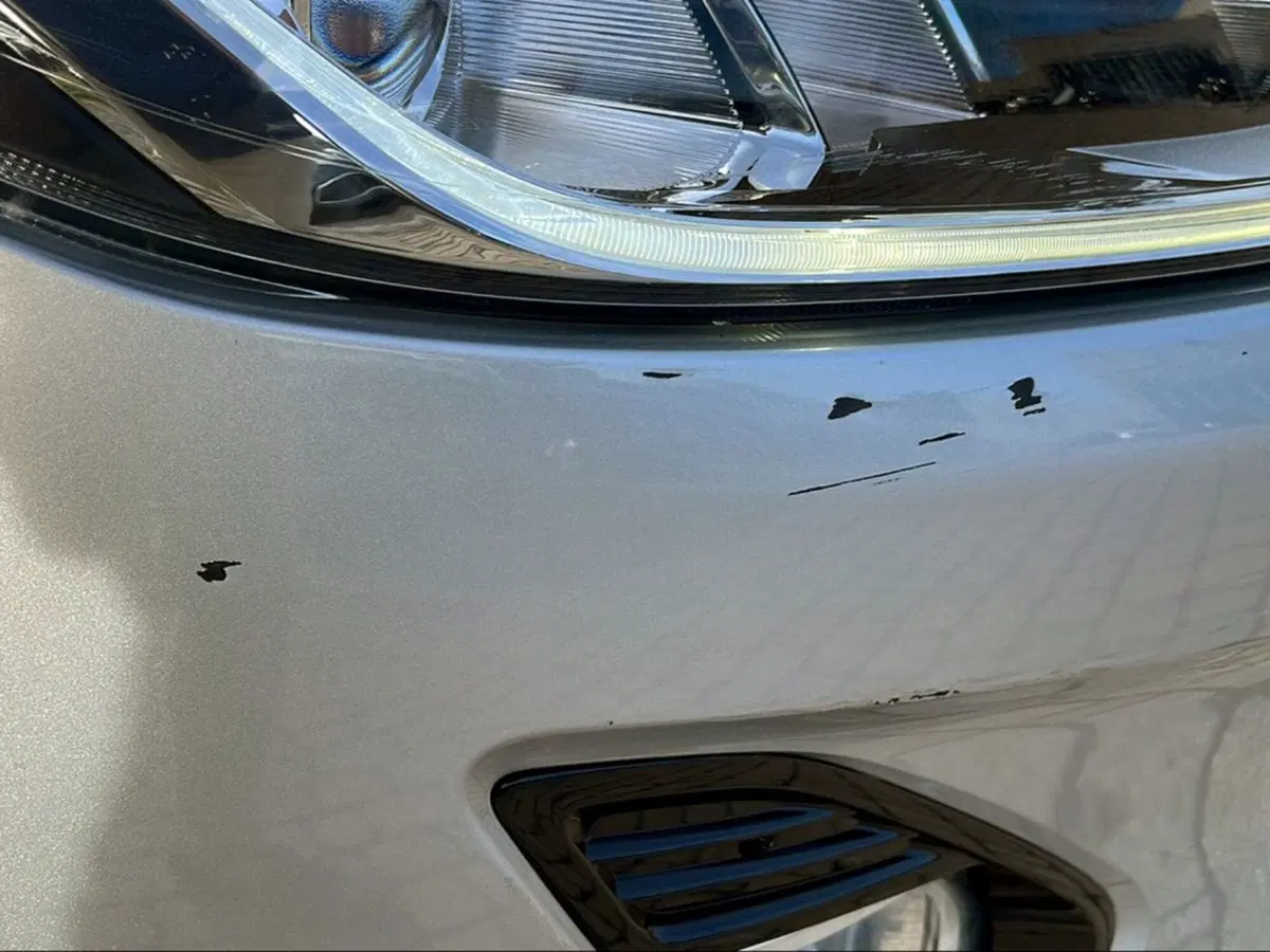 Ford Fiesta usata a Livorno (12)